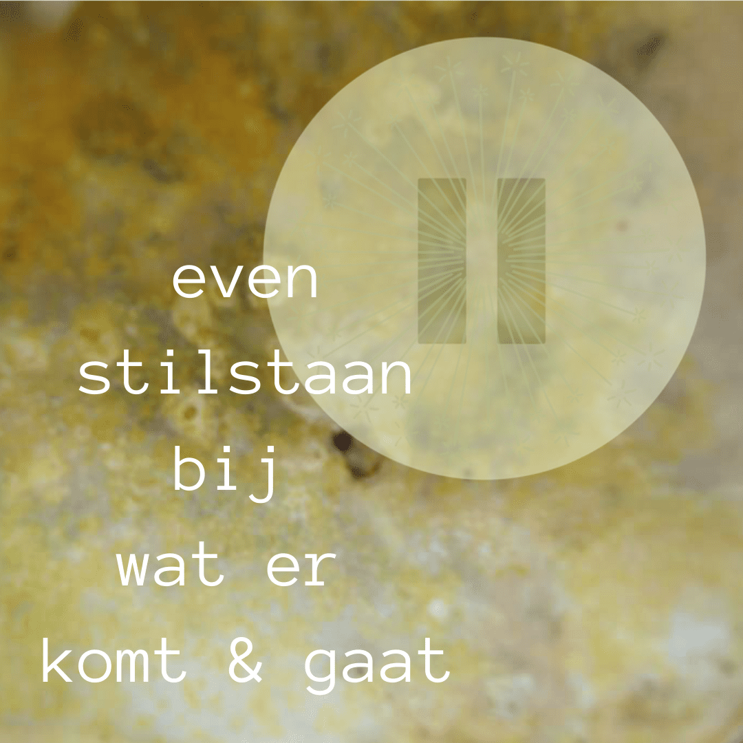 even stilstaan bij wat er komen gaat